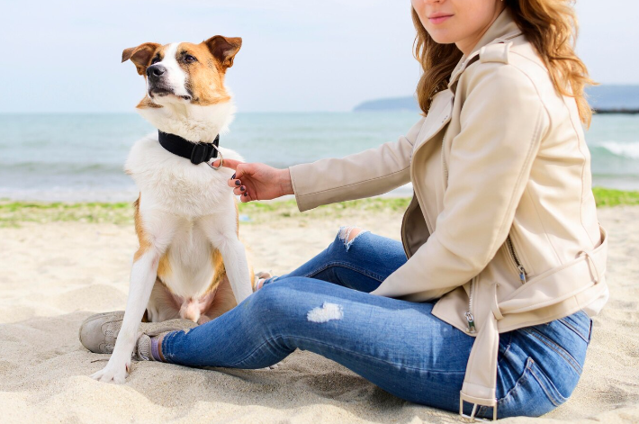 Safety First: The Ultimate Guide to Pet GPS Collars