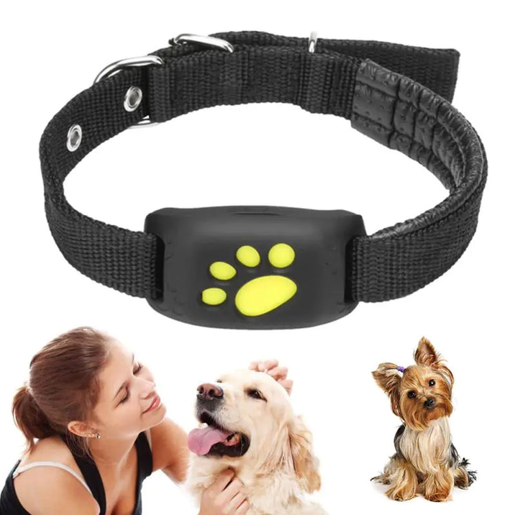 Tech and Comfort for Pets