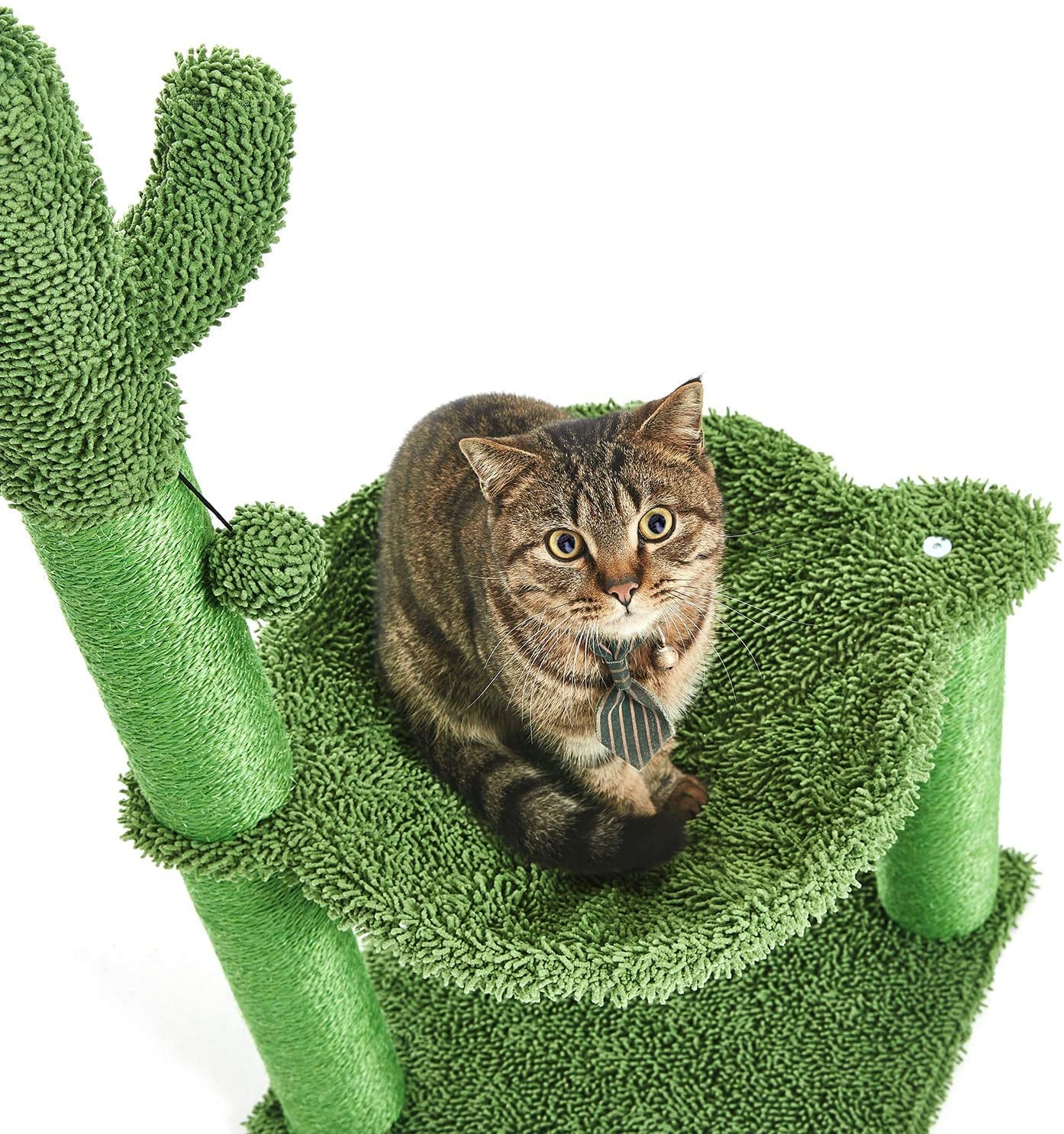 35 Inches Cactus Cat Tree with Hammock and Full Wrapped Sisal Scratching Post for Cats