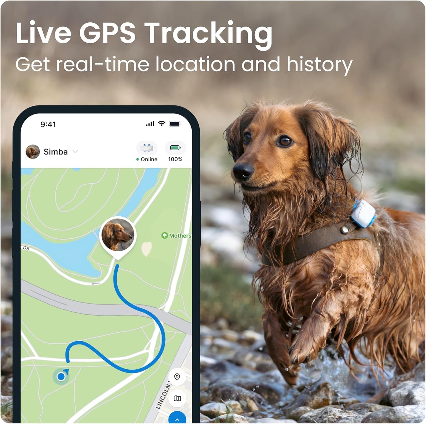 GPS Pet Tracker for Dogs - Waterproof, GPS Location & Smart Activity Tracker, Unlimited Range (Midnight Blue)